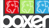 Boxer IT Logo